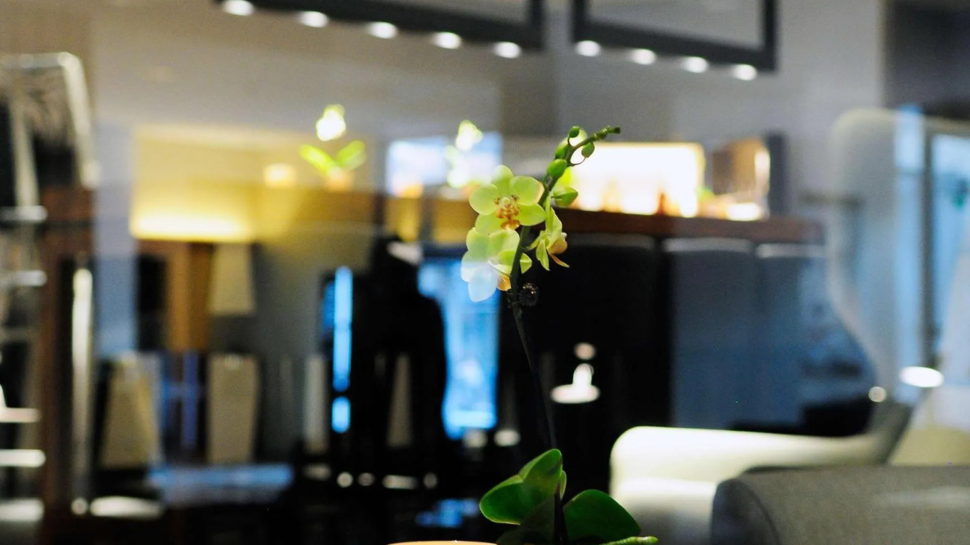 Pullman Eindhoven Cocagne Hotell